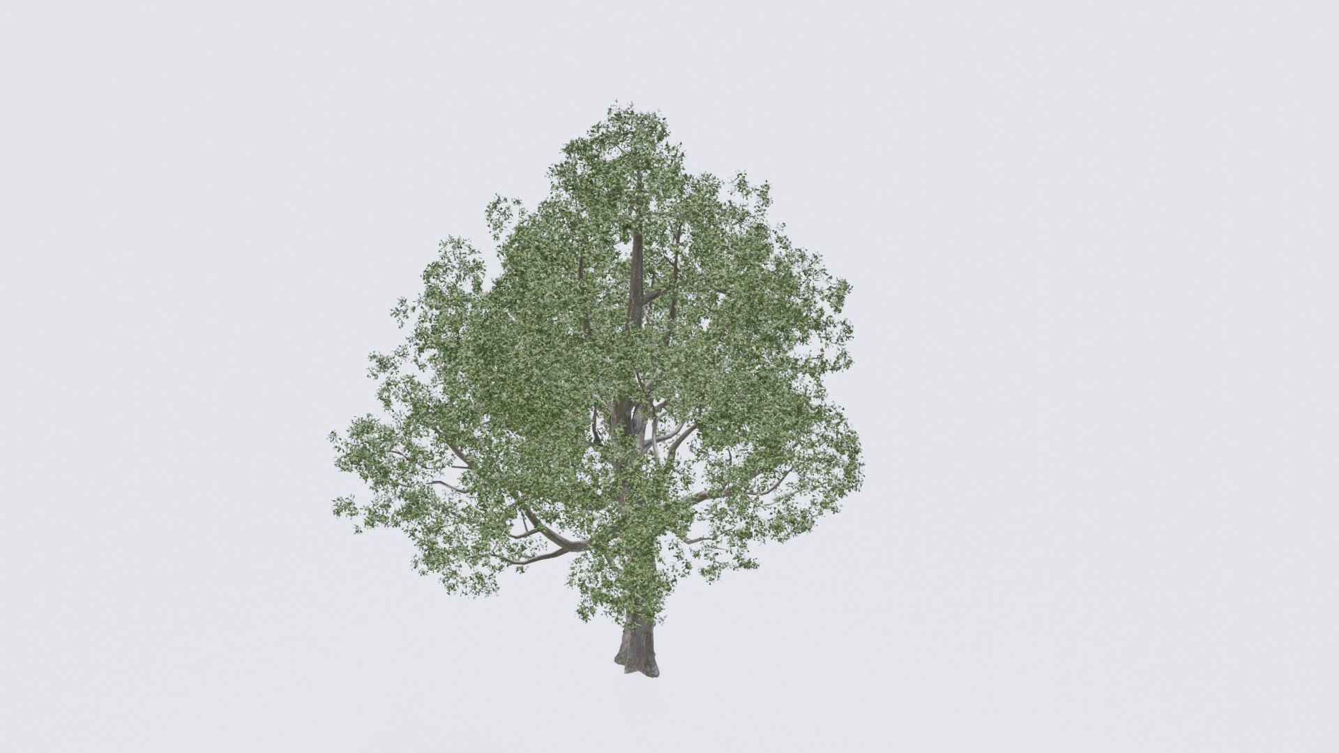 Seasonal Pack of Trees 3D model model https://p.turbosquid.com/ts-thumb/No/hIFsHy/ID/7/jpg/1634889987/1920x1080/fit_q87/81625a39f5c324e085ca777803da7357522d3914/7.jpg