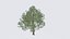 Seasonal Pack of Trees 3D model