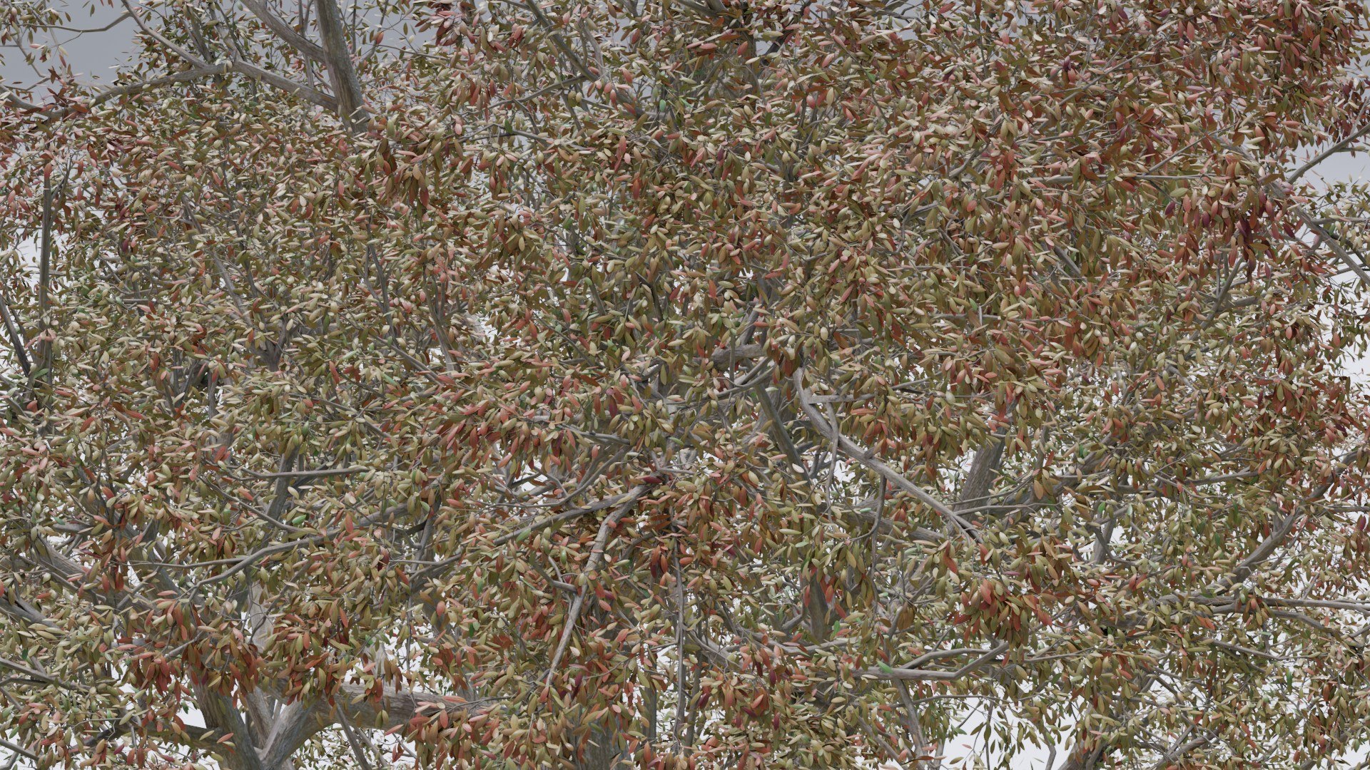 Seasonal Pack of Trees 3D model model https://p.turbosquid.com/ts-thumb/No/hIFsHy/Vc/3/jpg/1634889978/1920x1080/fit_q87/2bff265a3645820437db434dd290c52f07dffaf9/3.jpg