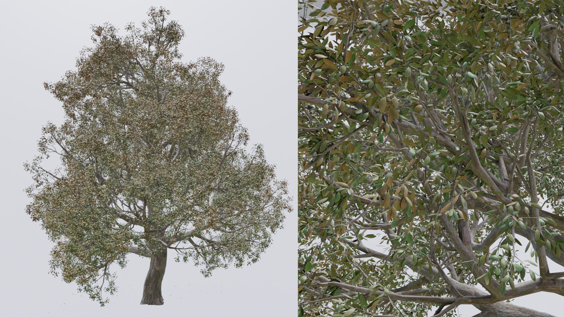 Seasonal Pack of Trees 3D model model https://p.turbosquid.com/ts-thumb/No/hIFsHy/a7/untitled2/jpg/1634890031/1920x1080/fit_q87/5c56a0059aa6ed1688d0d1bee511aad822f41e73/untitled2.jpg