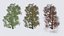 Seasonal Pack of Trees 3D model