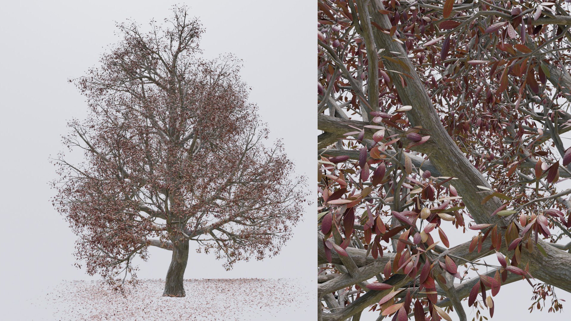 Seasonal Pack of Trees 3D model model https://p.turbosquid.com/ts-thumb/No/hIFsHy/oS/untitled3/jpg/1634890041/1920x1080/fit_q87/7ccf6f7f297446a3f5451f3a426d15a2f438214d/untitled3.jpg
