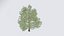 Seasonal Pack of Trees 3D model