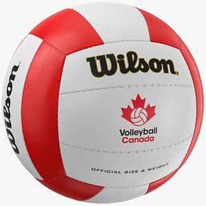 Volleyball Ball 03