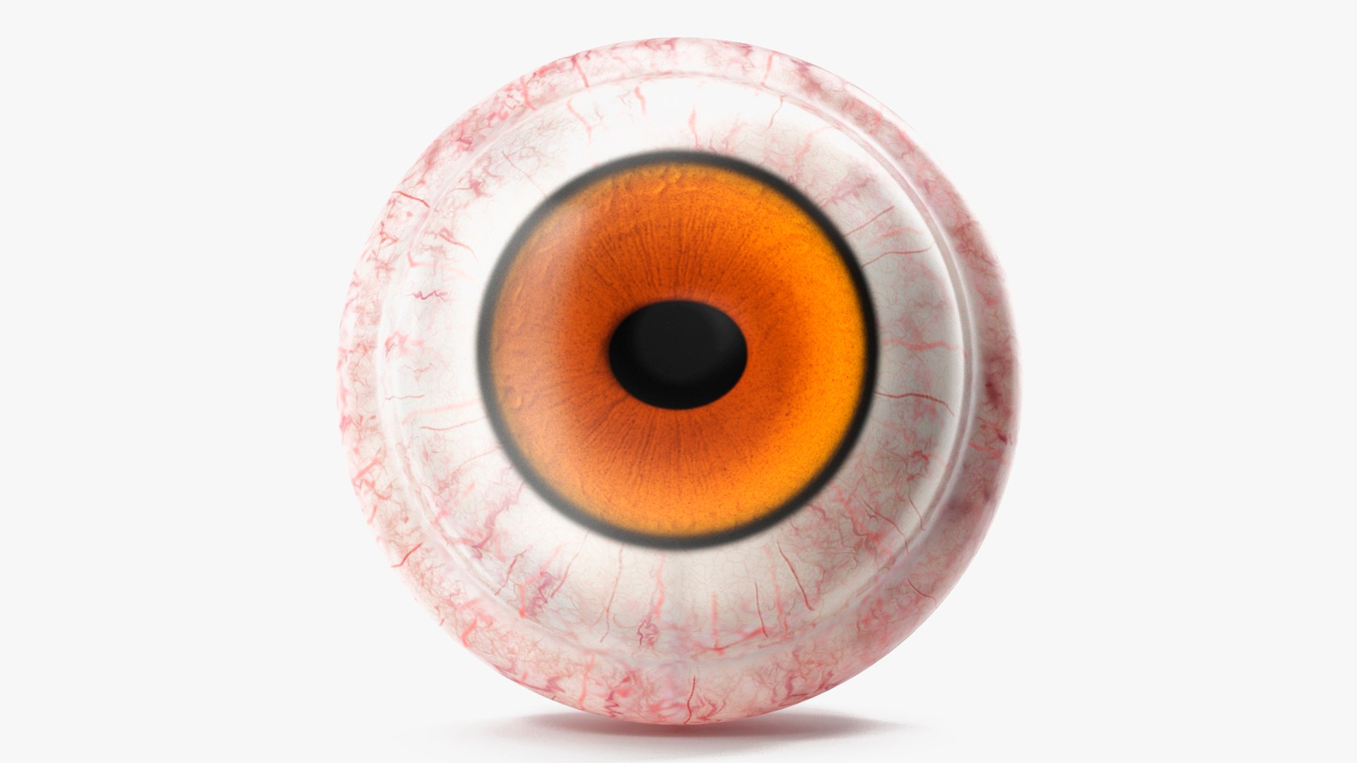 Realistic Tarsier Eye 3D model preview