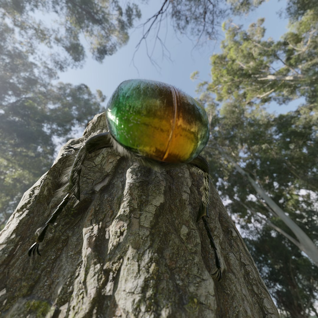 Green Scarabeus - Cetonia aurata model https://p.turbosquid.com/ts-thumb/No/zxlq5s/ql/render21/png/1685091453/1920x1080/fit_q87/c3013eb1cbf3909f8c576a6c323fdd0014ecfed5/render21.jpg