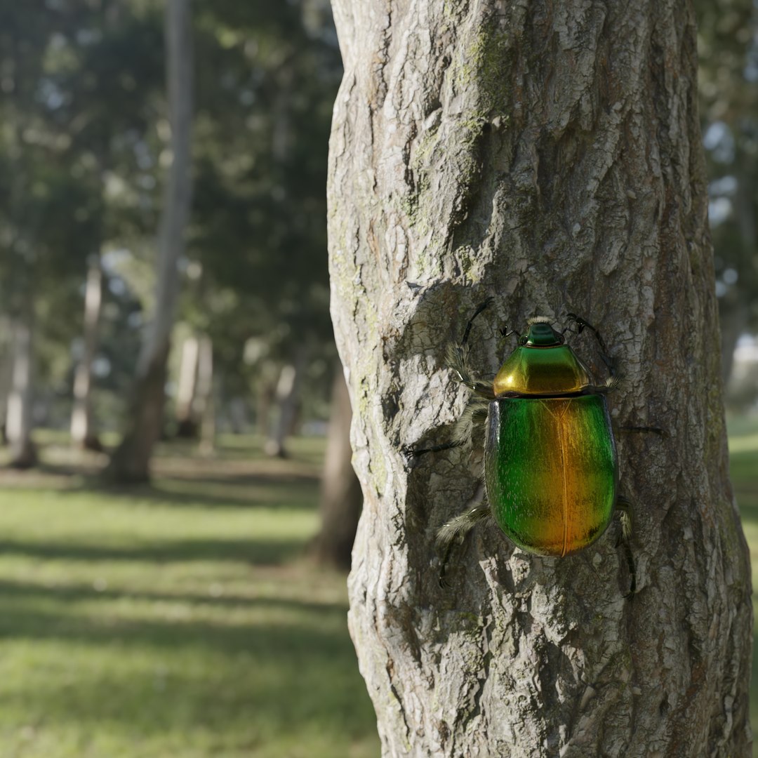 Green Scarabeus - Cetonia aurata model https://p.turbosquid.com/ts-thumb/No/zxlq5s/tG/render18/png/1685091539/1920x1080/fit_q87/22e1c075e4591829c0b0756c61f7718d8a377d19/render18.jpg