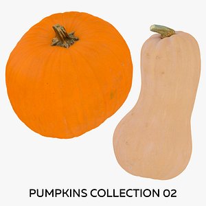 Pumpkins Collection 02 - 2 models RAW Scans 3D model