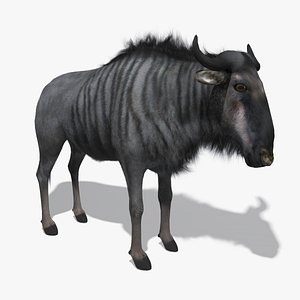 wildebeest fur 3d max