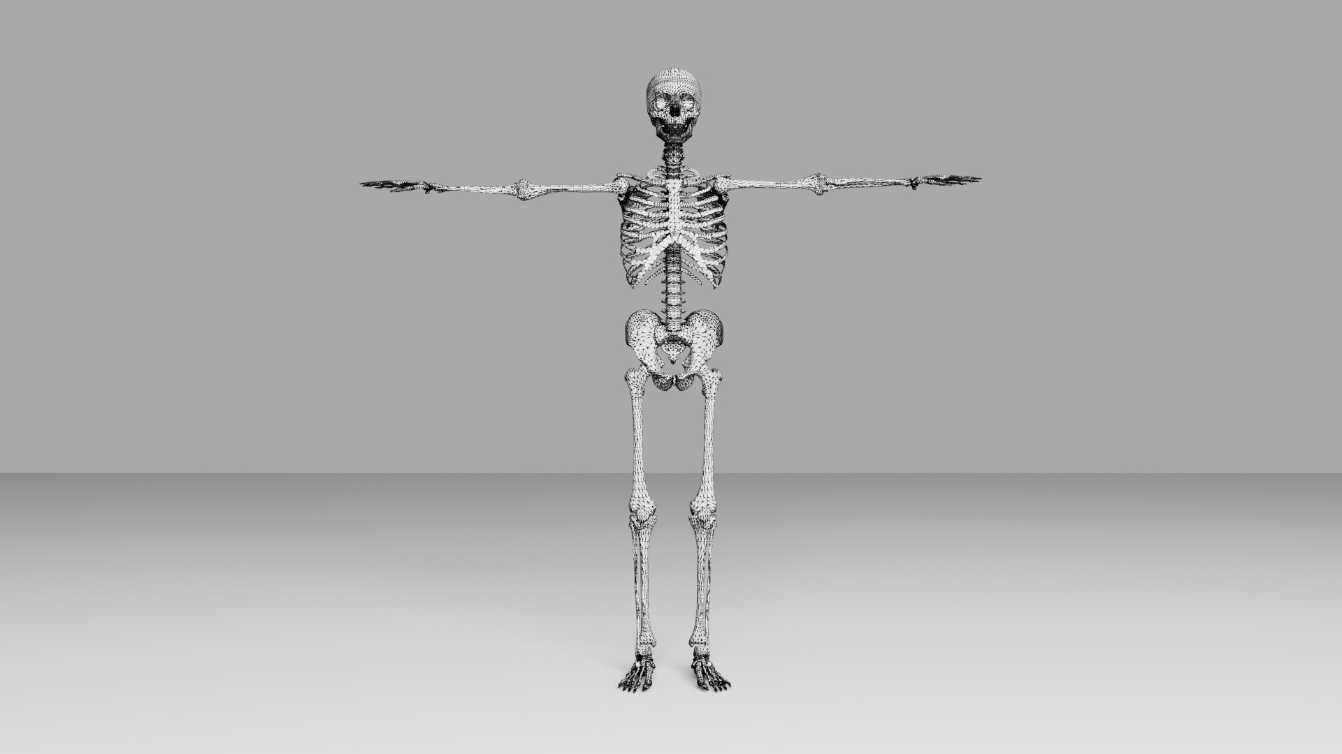 Human Skeleton Low-poly model https://p.turbosquid.com/ts-thumb/Np/EhSl8y/LR/6/jpg/1731575837/1920x1080/fit_q87/27a6e45f2c3f9ba03a30f03bad6a8602f2e9766e/6.jpg
