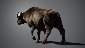 Savanna Animals Pack 3D model
