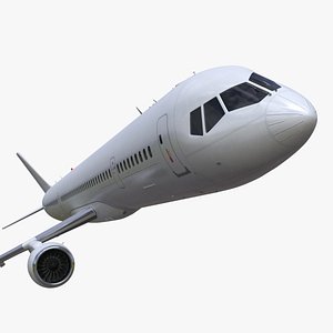 Passenger Jetliner Flight