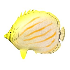 tropical fish 3d model