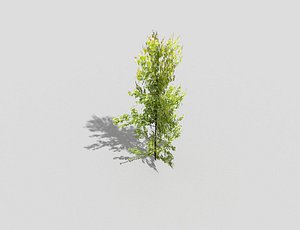3d tree