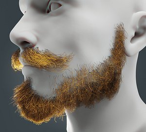 Beard RealTime 7 Version 2 3D model