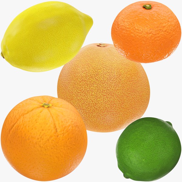 Citrus Fruits Collection V1 model