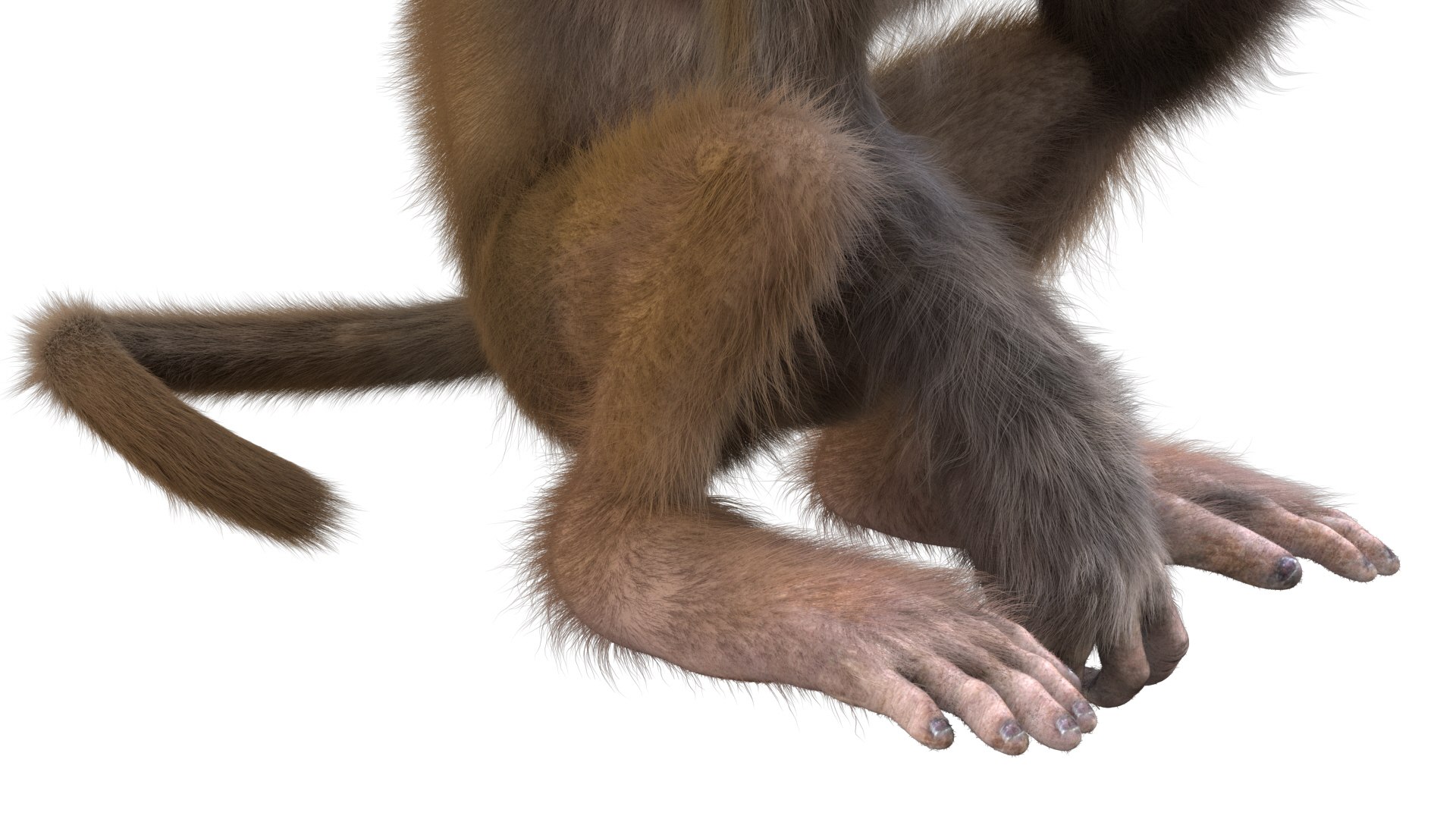 Monkey Rigged Model - TurboSquid 1493219