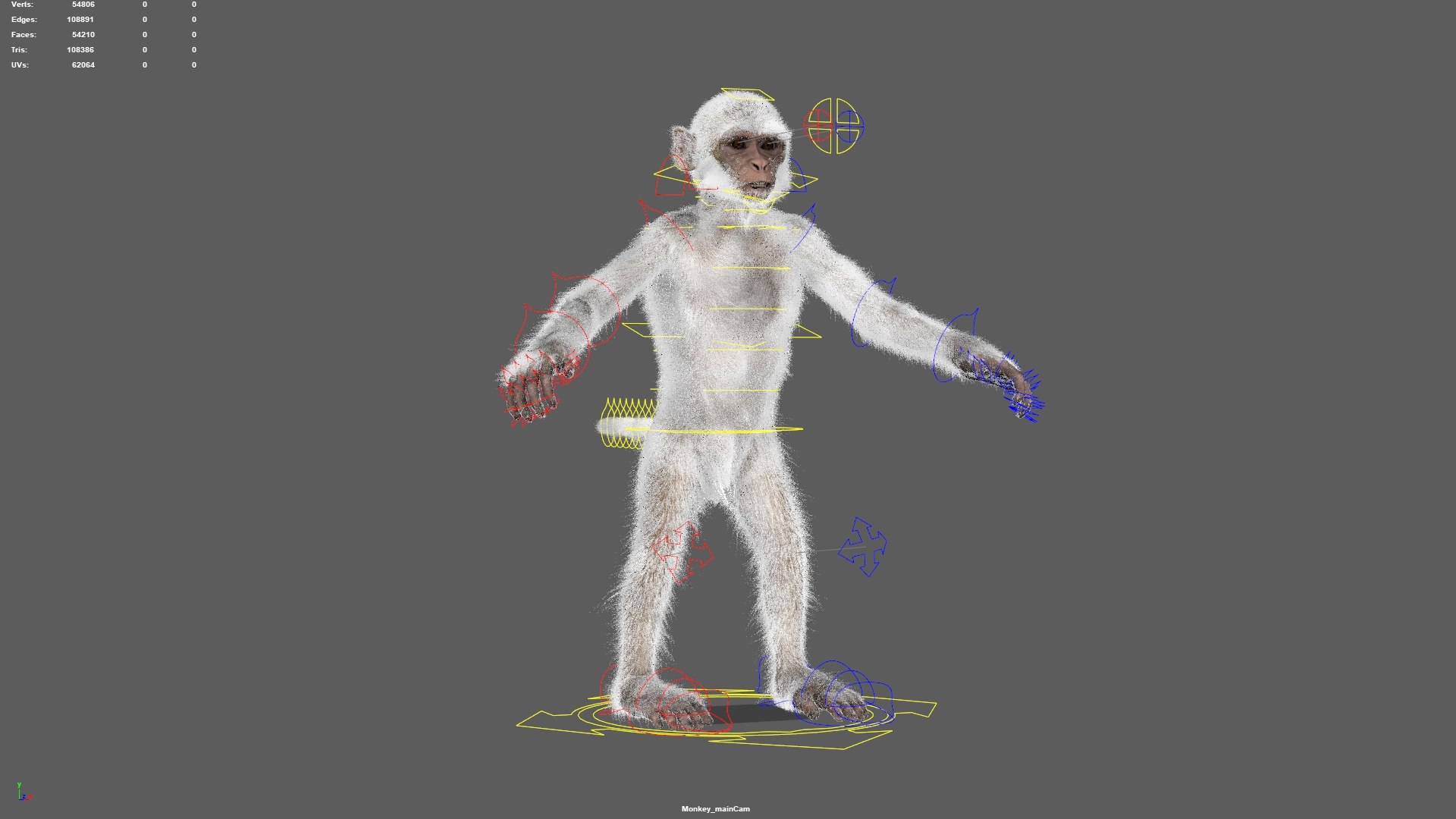 Monkey rigged model - TurboSquid 1493219