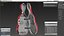 Red Cello Case Open