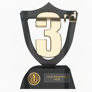3rd Prize