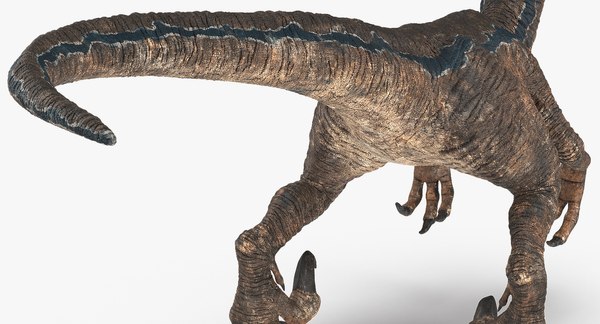 Velociraptor attacking pose 3D model - TurboSquid 1395367