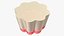 Jelly Pudding Chery Milk on Plate