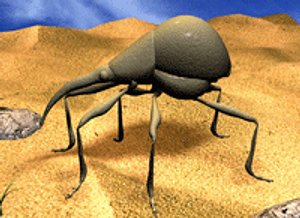 3d beetle