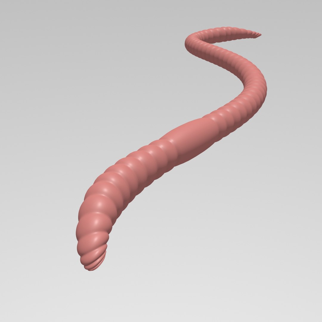 Earth Worm 3D - TurboSquid 1391488