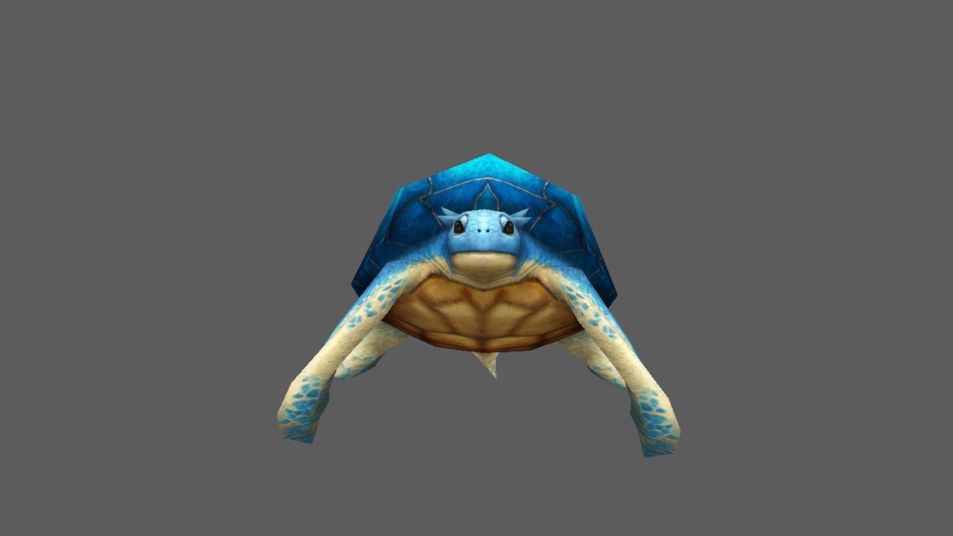3D Turtle - TurboSquid 1707353