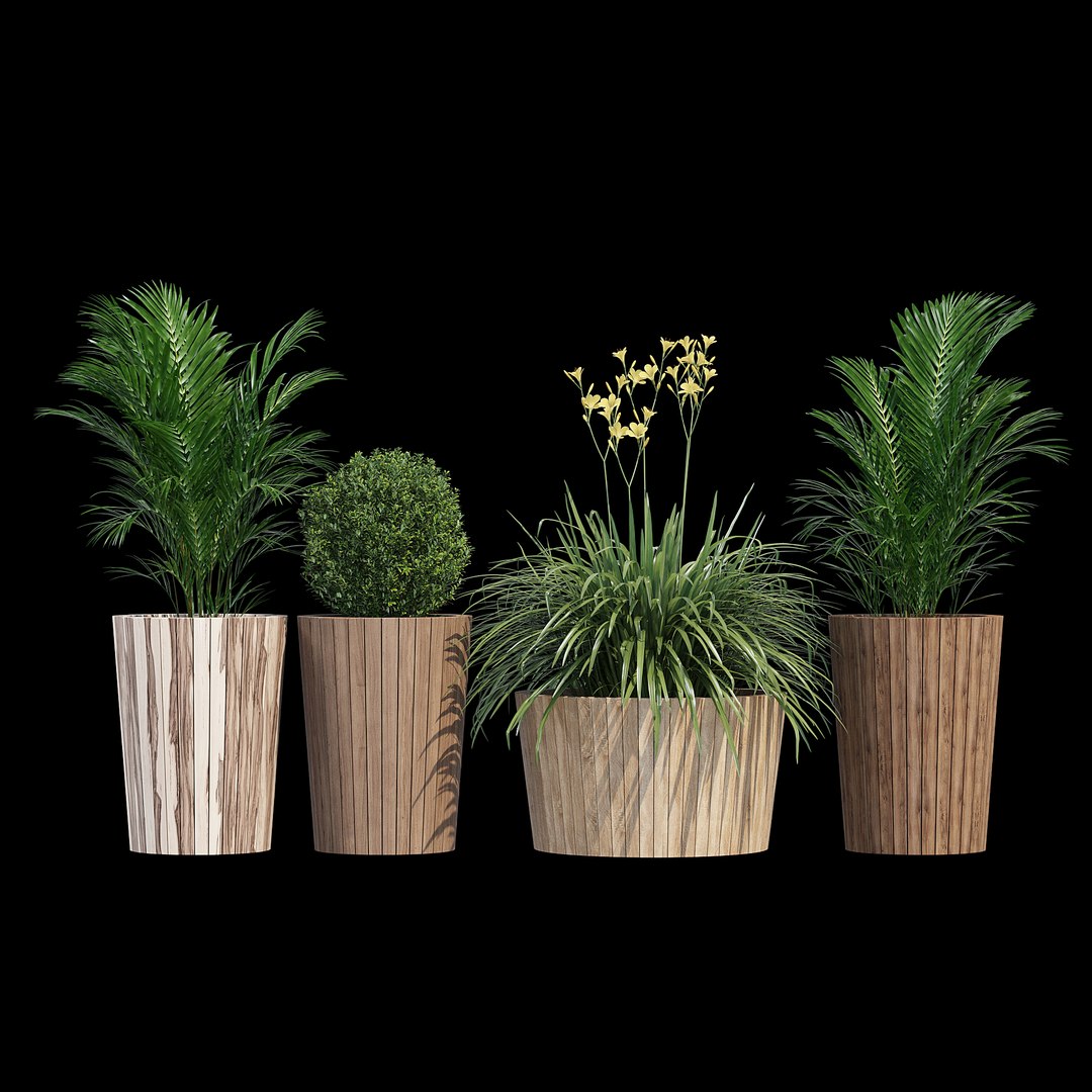 3D plant pot tennis - TurboSquid 1480642