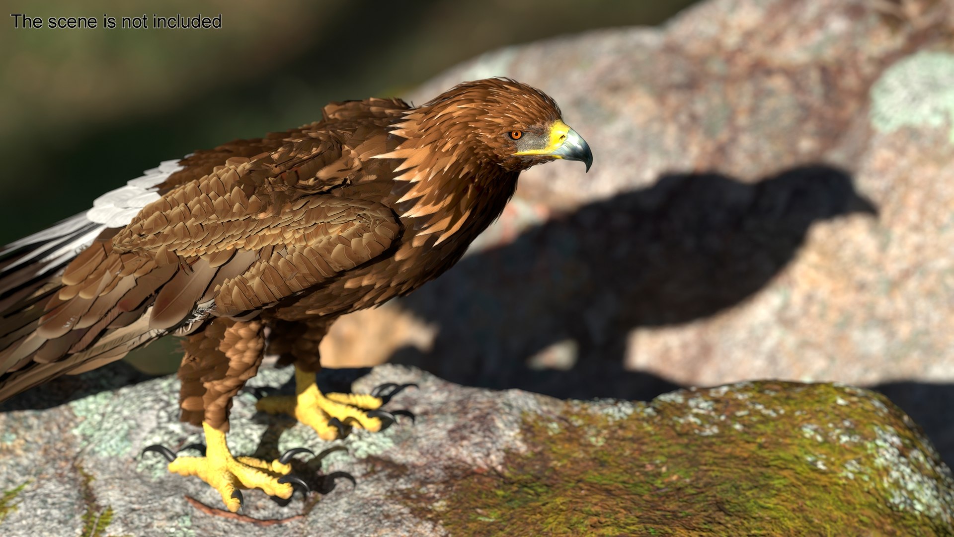 Realistic Golden Eagle Rigged 3D model https://p.turbosquid.com/ts-thumb/Nq/yY08d5/Cs/realisticgoldeneagleriggedvray3dmodel006/jpg/1723002756/1920x1080/fit_q87/53d05c53df013718e1e03e67d6a3c0f8dd3f6bdb/realisticgoldeneagleriggedvray3dmodel006.jpg