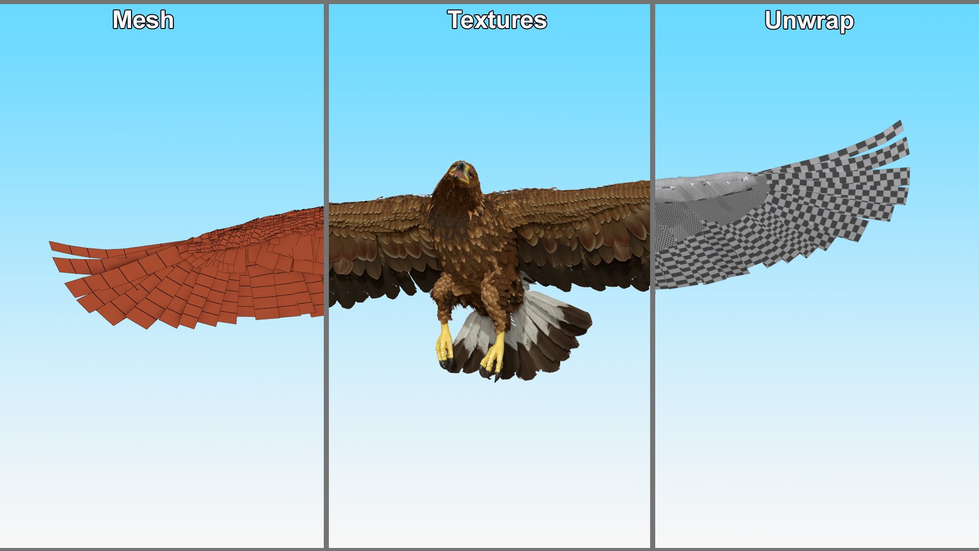 Realistic Golden Eagle Rigged 3D model https://p.turbosquid.com/ts-thumb/Nq/yY08d5/SH/realisticgoldeneagleriggedvray3dmodel019/jpg/1723002808/1920x1080/fit_q87/29b1b6659537db4124473073855634c8daf27e05/realisticgoldeneagleriggedvray3dmodel019.jpg