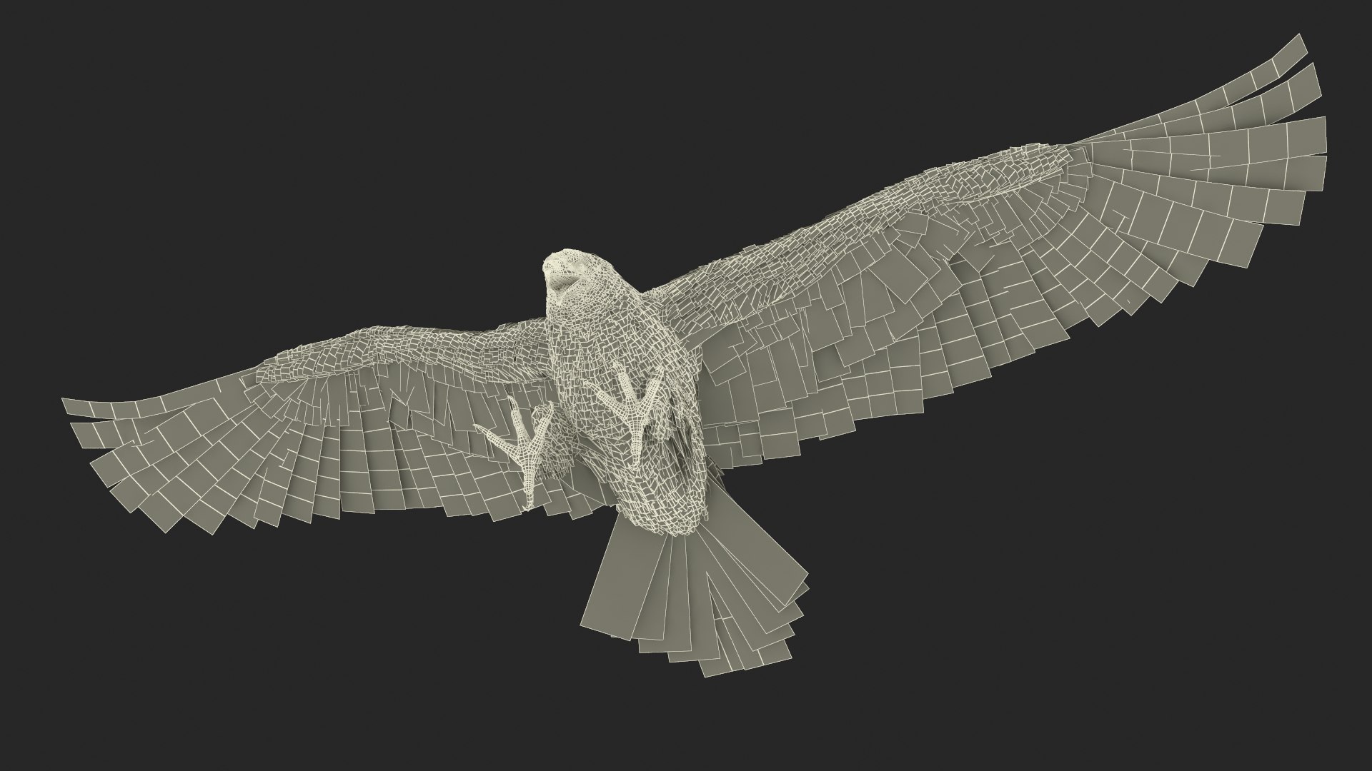 Realistic Golden Eagle Rigged 3D model https://p.turbosquid.com/ts-thumb/Nq/yY08d5/aS/realisticgoldeneagleriggedvray3dmodel033/jpg/1723002877/1920x1080/fit_q87/d769dbe66b746b7eb50c68e21198f636078892c2/realisticgoldeneagleriggedvray3dmodel033.jpg