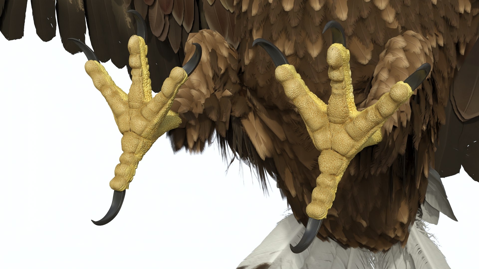 Realistic Golden Eagle Rigged 3D model https://p.turbosquid.com/ts-thumb/Nq/yY08d5/mY/realisticgoldeneagleriggedvray3dmodel016/jpg/1723002795/1920x1080/fit_q87/3a4cacf16099efde086f164f52db93df436cf7df/realisticgoldeneagleriggedvray3dmodel016.jpg