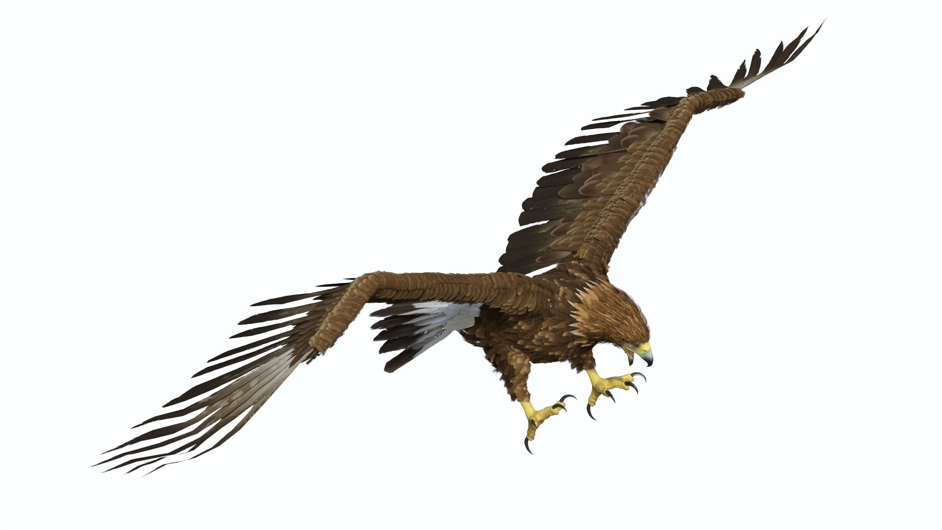 Realistic Golden Eagle Rigged 3D model https://p.turbosquid.com/ts-thumb/Nq/yY08d5/q1/realisticgoldeneagleriggedvray3dmodel011/jpg/1723002772/1920x1080/fit_q87/1aef3f3e0bb05ca58986d4bee825f393f86a0d98/realisticgoldeneagleriggedvray3dmodel011.jpg
