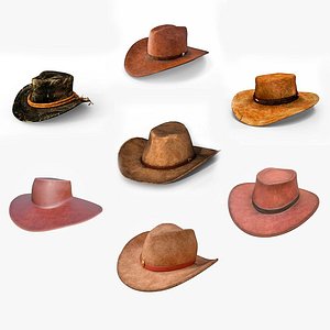 Cowboy Hats Collection 3D model