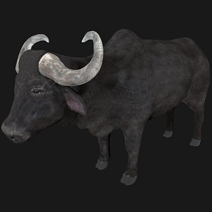 buffalo rigged model