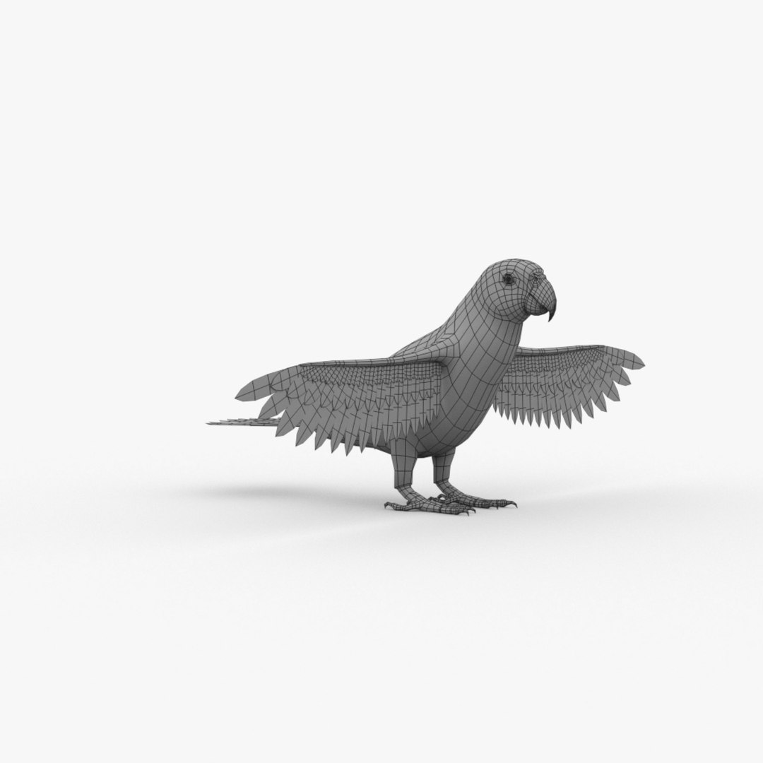 modelo 3d parrot basemesh - TurboSquid 2007138