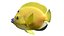 50 Fish Sea Creature Collection v3