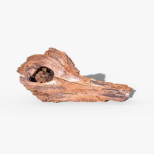 3D model Dry hollow wood