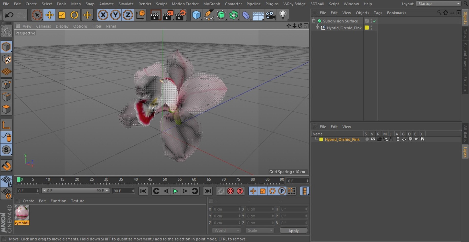 3D Hybrid Orchid Pink https://p.turbosquid.com/ts-thumb/Nr/TYEZLg/1U/hybridorchidpinkmb3dmodel024/jpg/1637784281/1920x1080/fit_q87/7a573e1c12a740d8cb9bde1d4eeffff1c00f5ff2/hybridorchidpinkmb3dmodel024.jpg