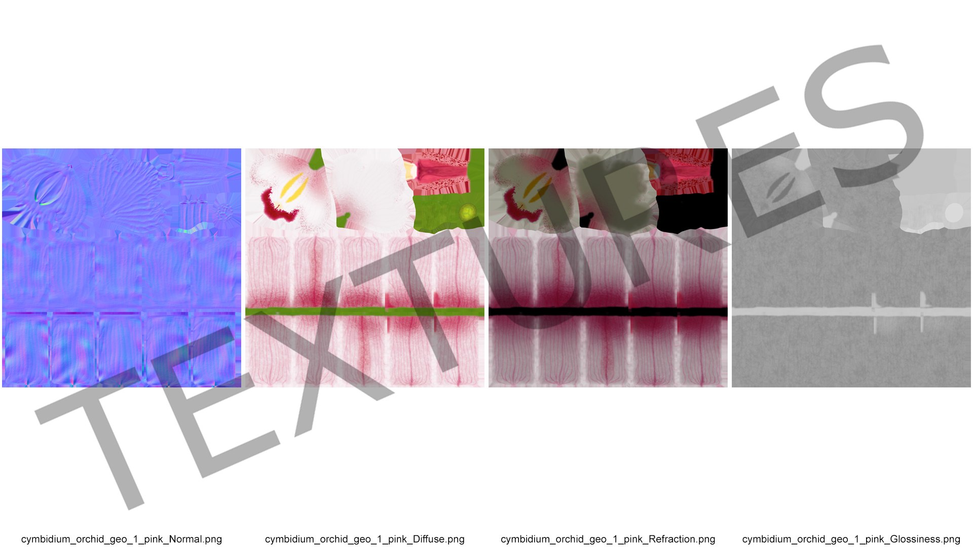 3D Hybrid Orchid Pink https://p.turbosquid.com/ts-thumb/Nr/TYEZLg/A7/hybridorchidpinkmb3dmodel020/jpg/1637784271/1920x1080/fit_q87/7a04d5a1491db4c1ecc2265e151bc95ee9c77680/hybridorchidpinkmb3dmodel020.jpg