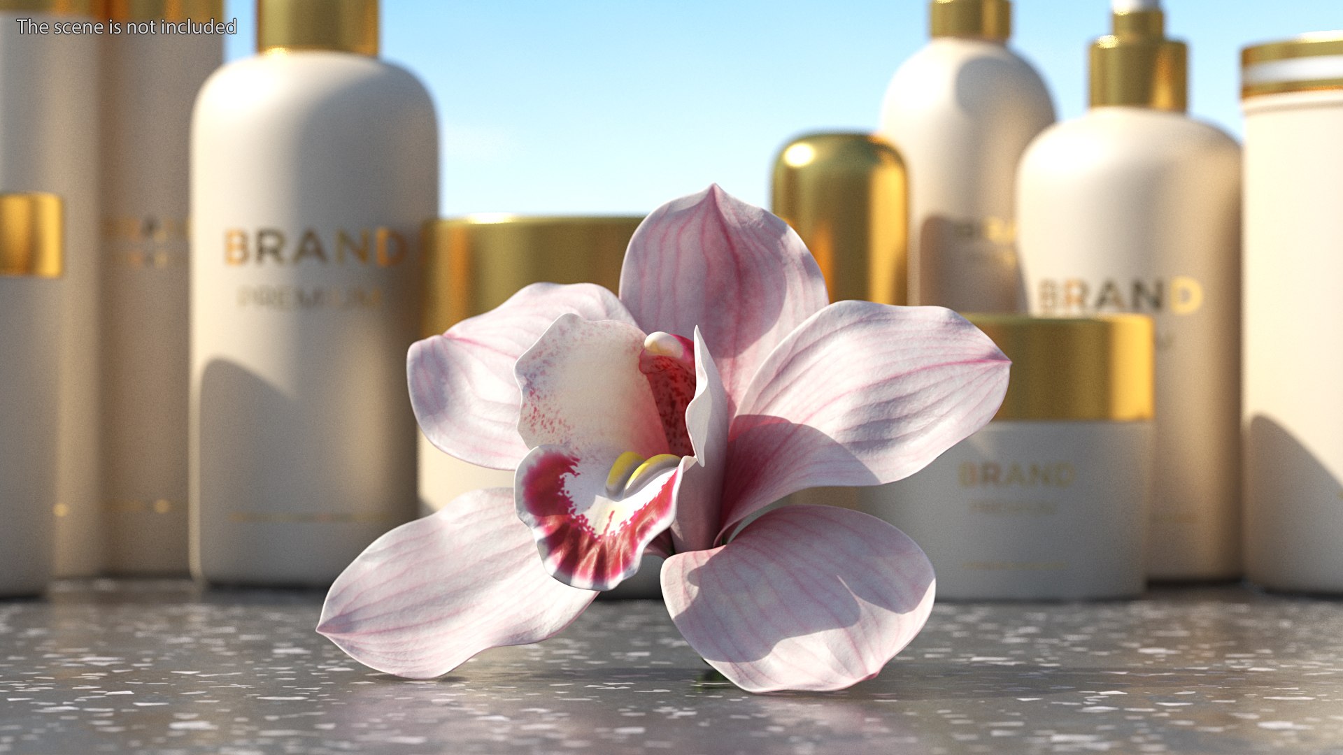 3D Hybrid Orchid Pink https://p.turbosquid.com/ts-thumb/Nr/TYEZLg/Gq/hybridorchidpinkmb3dmodel003/jpg/1637784221/1920x1080/fit_q87/0cfe50b20c7b82728add28e2d8ba90cfd87e15f9/hybridorchidpinkmb3dmodel003.jpg