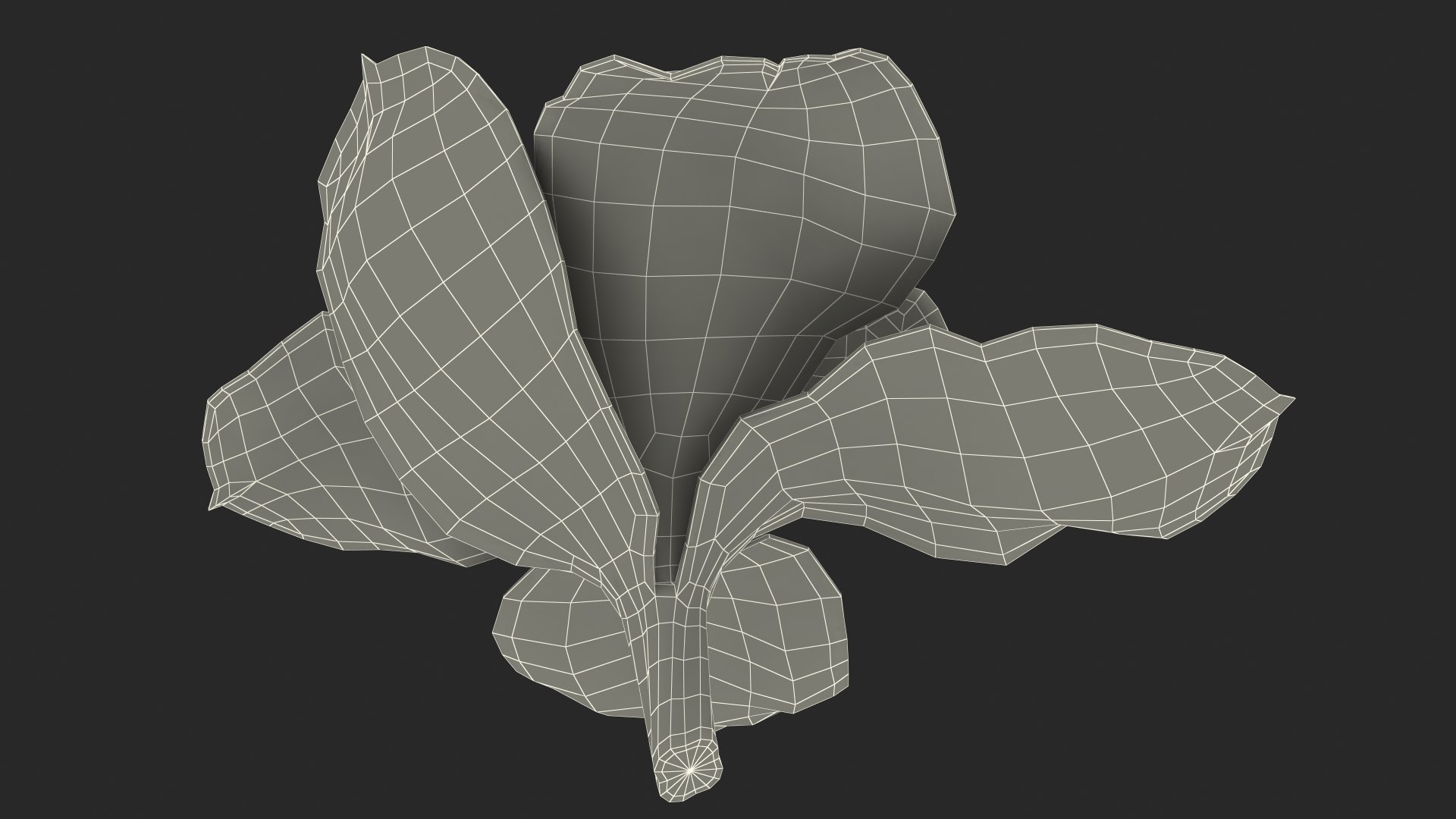 3D Hybrid Orchid Pink https://p.turbosquid.com/ts-thumb/Nr/TYEZLg/Mo/hybridorchidpinkmb3dmodel029/jpg/1637784294/1920x1080/fit_q87/79f3ada675f4eaf753690141d67466eab69833e4/hybridorchidpinkmb3dmodel029.jpg