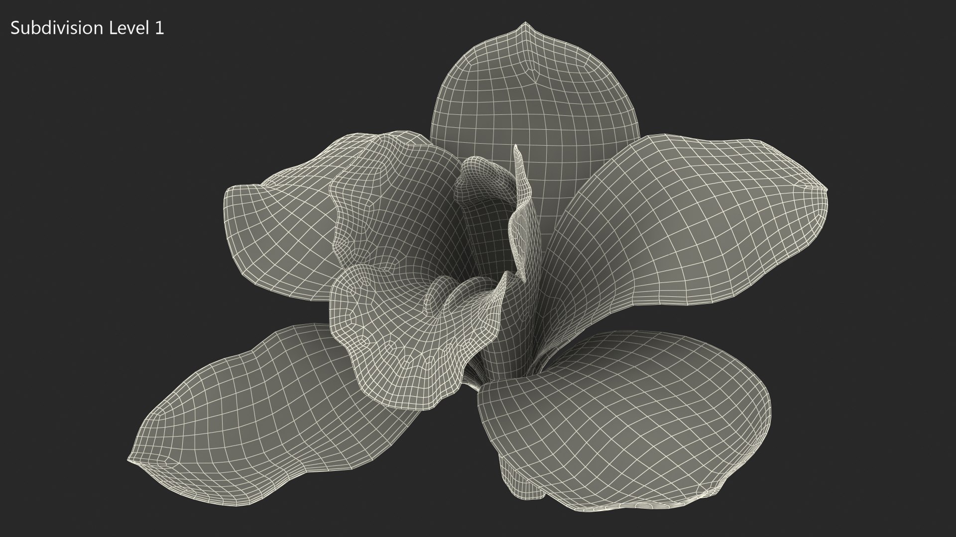 3D Hybrid Orchid Pink https://p.turbosquid.com/ts-thumb/Nr/TYEZLg/TN/hybridorchidpinkmb3dmodel018/jpg/1637784265/1920x1080/fit_q87/e41eb4a809c46d1eeb7f8a3b8091ae0c3d653eb9/hybridorchidpinkmb3dmodel018.jpg