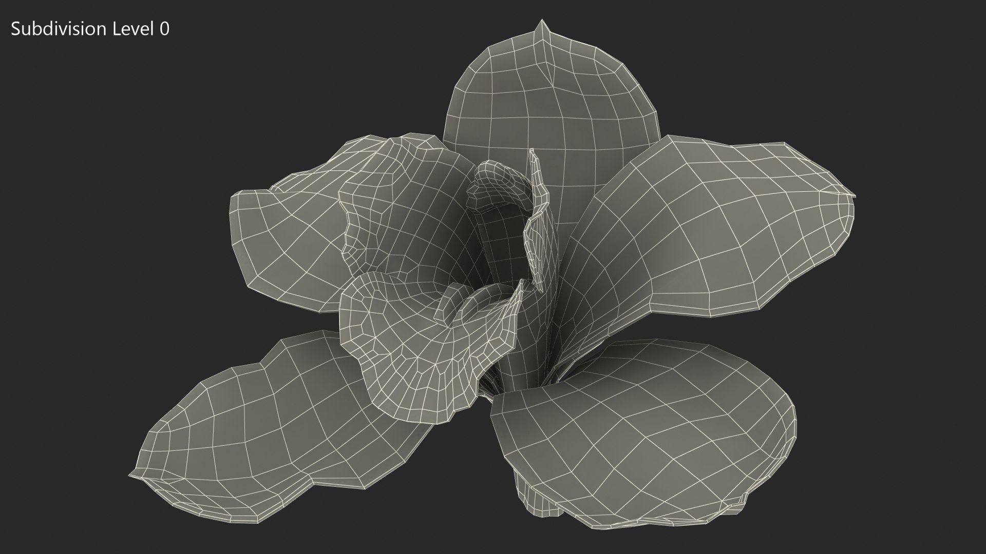 3D Hybrid Orchid Pink https://p.turbosquid.com/ts-thumb/Nr/TYEZLg/V7/hybridorchidpinkmb3dmodel017/jpg/1637784261/1920x1080/fit_q87/9034e1dbcb96a91ae6bde80c89176b6894256ff8/hybridorchidpinkmb3dmodel017.jpg