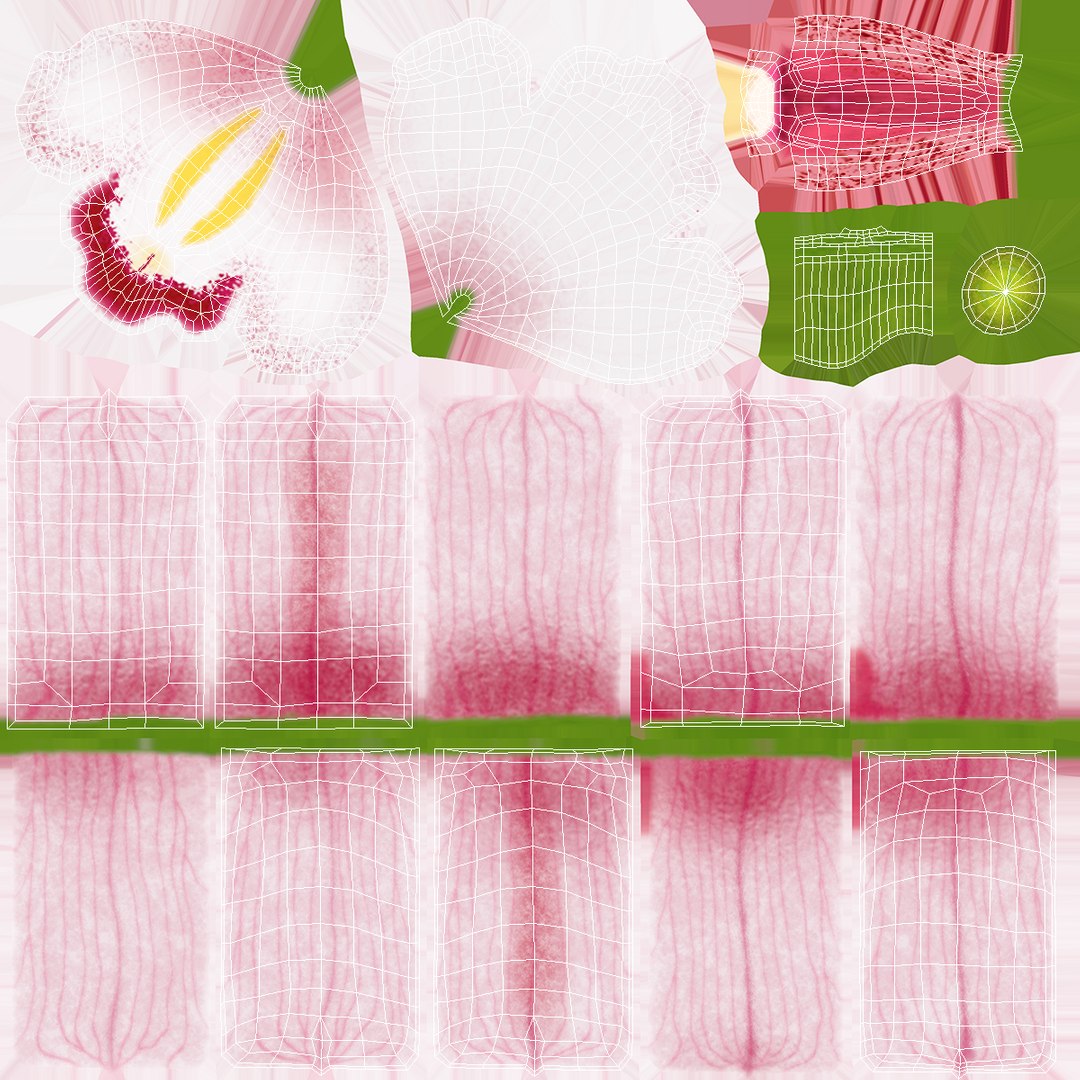3D Hybrid Orchid Pink https://p.turbosquid.com/ts-thumb/Nr/TYEZLg/XE/hybridorchidpinkmb3dmodel019/jpg/1637784268/1920x1080/fit_q87/c558466714274f4cc61ee7acf22a5c0951fa21d2/hybridorchidpinkmb3dmodel019.jpg