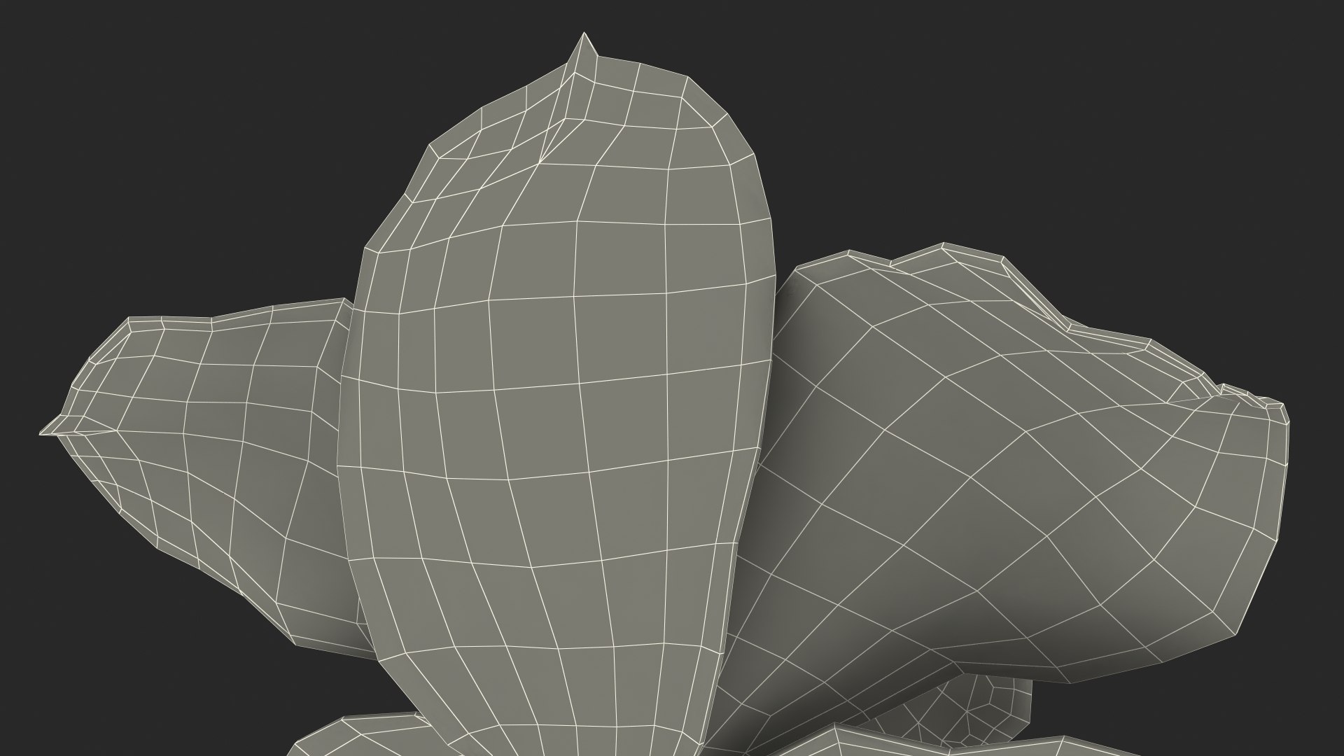 3D Hybrid Orchid Pink https://p.turbosquid.com/ts-thumb/Nr/TYEZLg/ny/hybridorchidpinkmb3dmodel035/jpg/1637784310/1920x1080/fit_q87/9448376b9a4b64b8f79efba6eb80f240a86e08a8/hybridorchidpinkmb3dmodel035.jpg