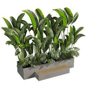 plant vol 1031 - Monstera - Banana - Grass - Garden 3D model
