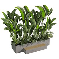 plant vol 1031 - Monstera - Banana - Grass - Garden